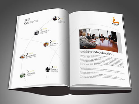 米兰体育app官方下载:Kameleon sjocht yn it waar De