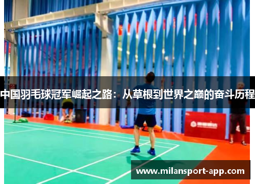 中国羽毛球冠军崛起之路：从草根到世界之巅的奋斗历程